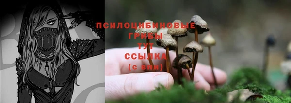 2c-b Верхнеуральск