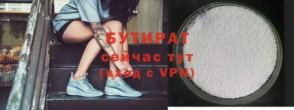 гидра Володарск